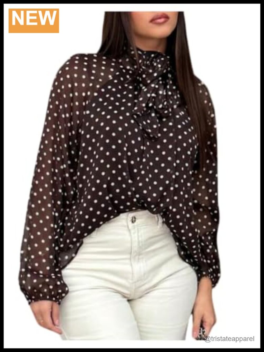 Women's Polka Dot Tie Neck Chiffon Blouse, Long Sleeve Dressy Top